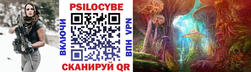 Галлюциногенные грибы MAGIC MUSHROOMS  Мытищи 